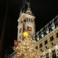 0679_0089 Lichter eines Weihnachtsbaumes mit Stern in der Baumspitze - Rathausturm am Abend. | 
